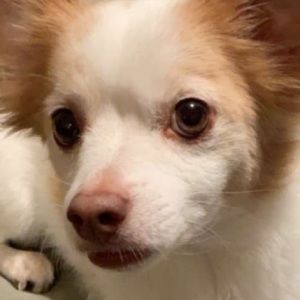 Meet your Posher, Carlos